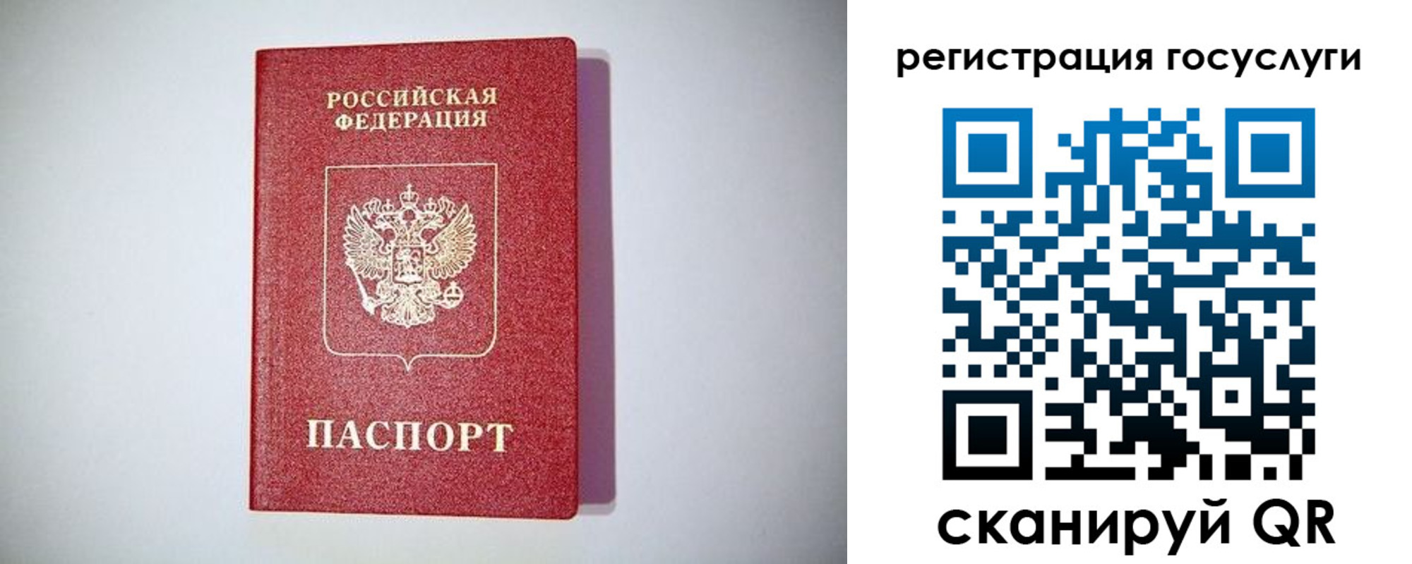 временная регистрация поиск в Рязани